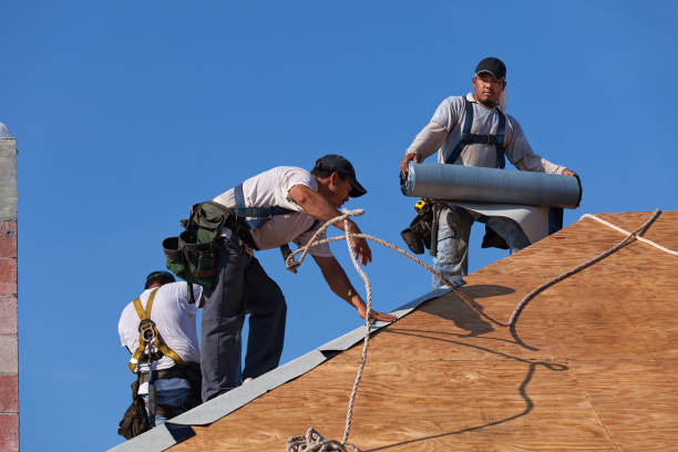 Best Emergency Roof Repair  in Ocean View, DE