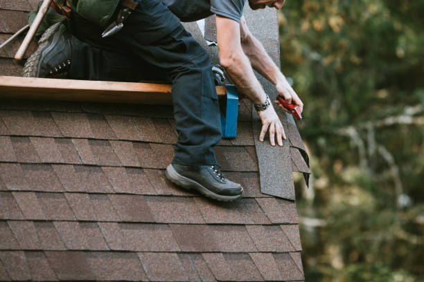 Best Flat Roof Repair Services  in Ocean View, DE